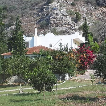 Villa Dunes 350M From The Sandy Beach Kalogria  Bagian luar foto
