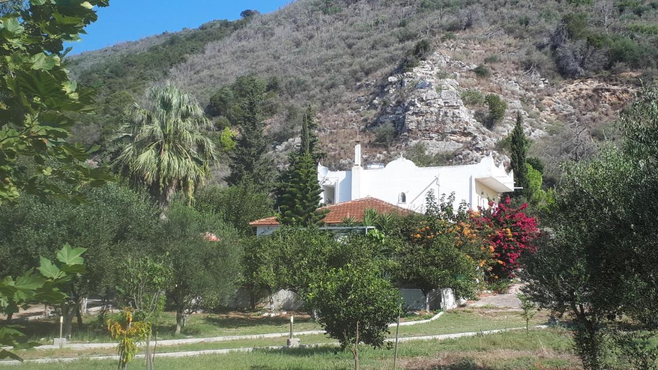 Villa Dunes 350M From The Sandy Beach Kalogria  Bagian luar foto