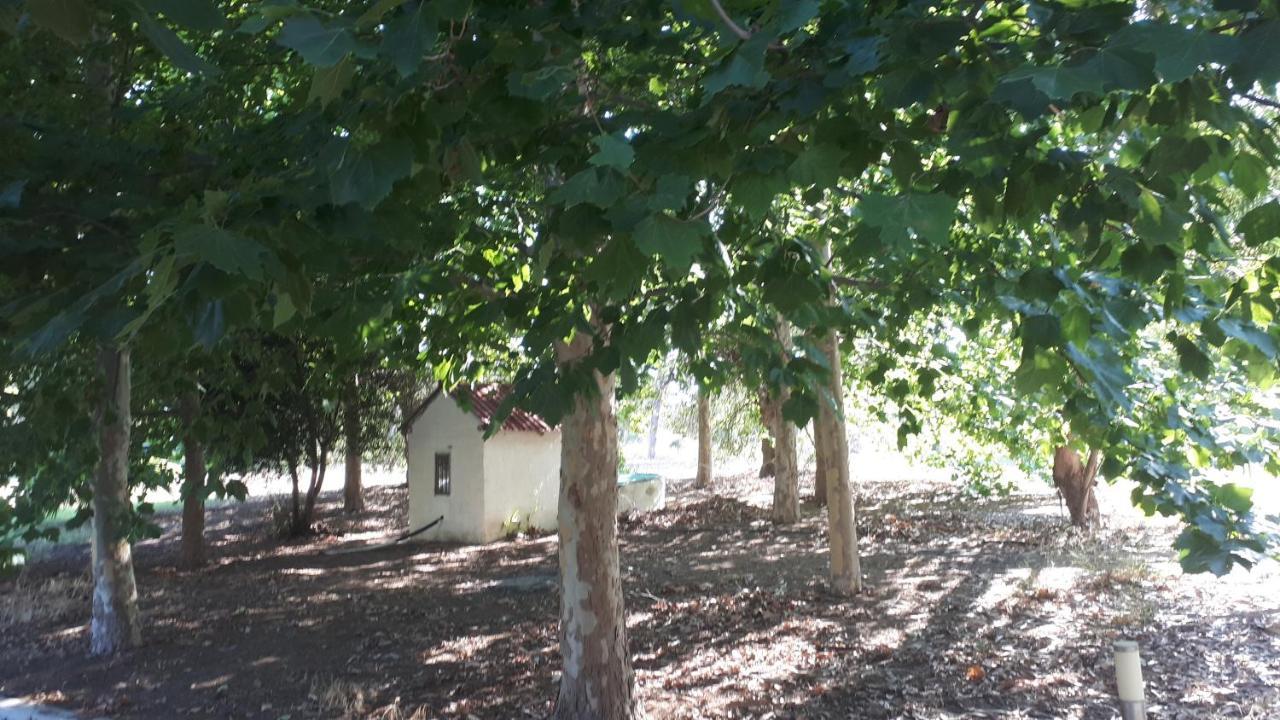 Villa Dunes 350M From The Sandy Beach Kalogria  Bagian luar foto