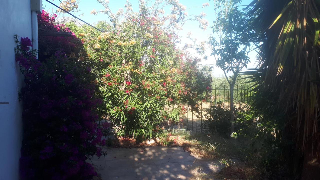 Villa Dunes 350M From The Sandy Beach Kalogria  Bagian luar foto