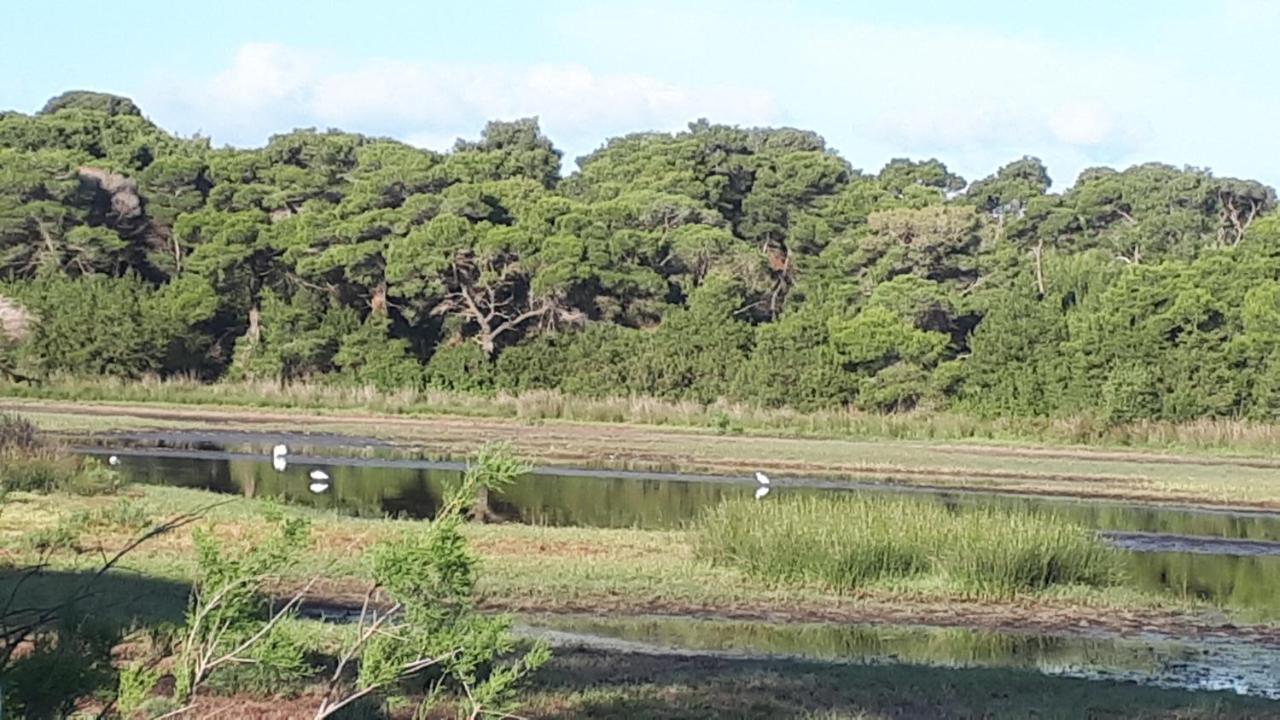 Villa Dunes 350M From The Sandy Beach Kalogria  Bagian luar foto