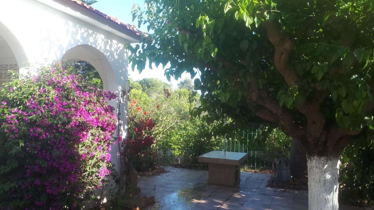 Villa Dunes 350M From The Sandy Beach Kalogria  Bagian luar foto