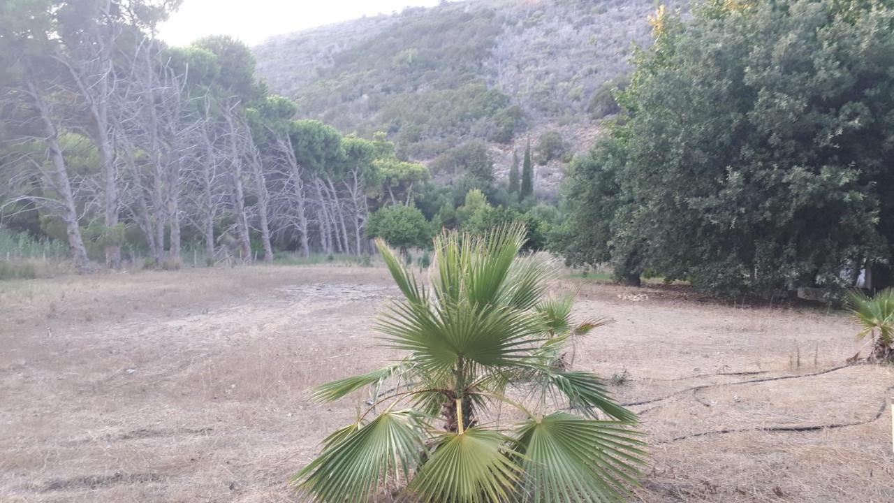 Villa Dunes 350M From The Sandy Beach Kalogria  Bagian luar foto