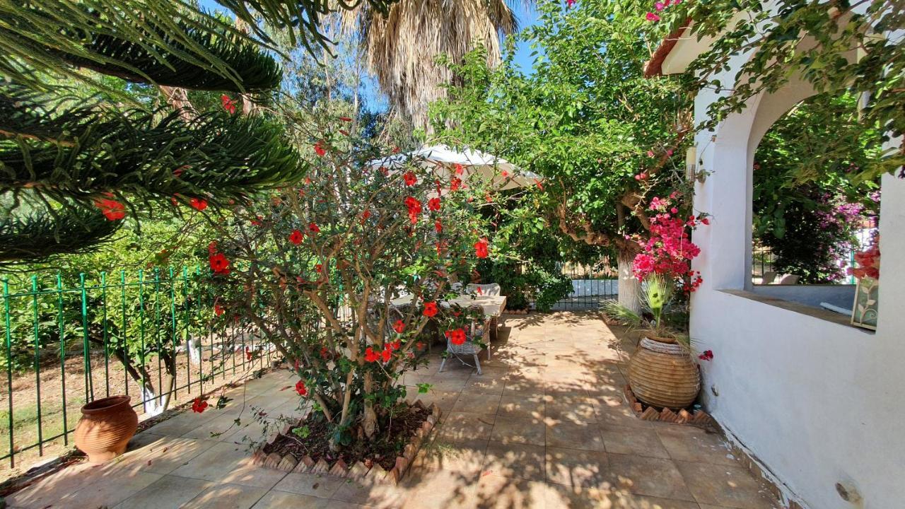 Villa Dunes 350M From The Sandy Beach Kalogria  Bagian luar foto