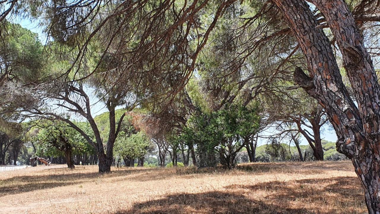 Villa Dunes 350M From The Sandy Beach Kalogria  Bagian luar foto