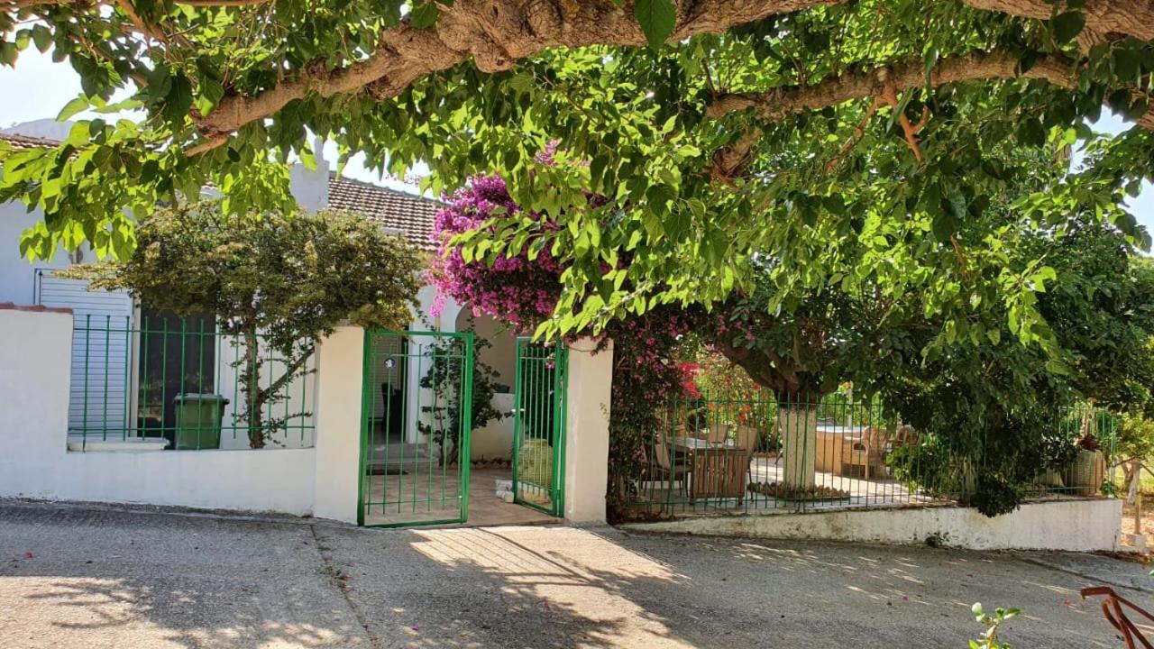 Villa Dunes 350M From The Sandy Beach Kalogria  Bagian luar foto