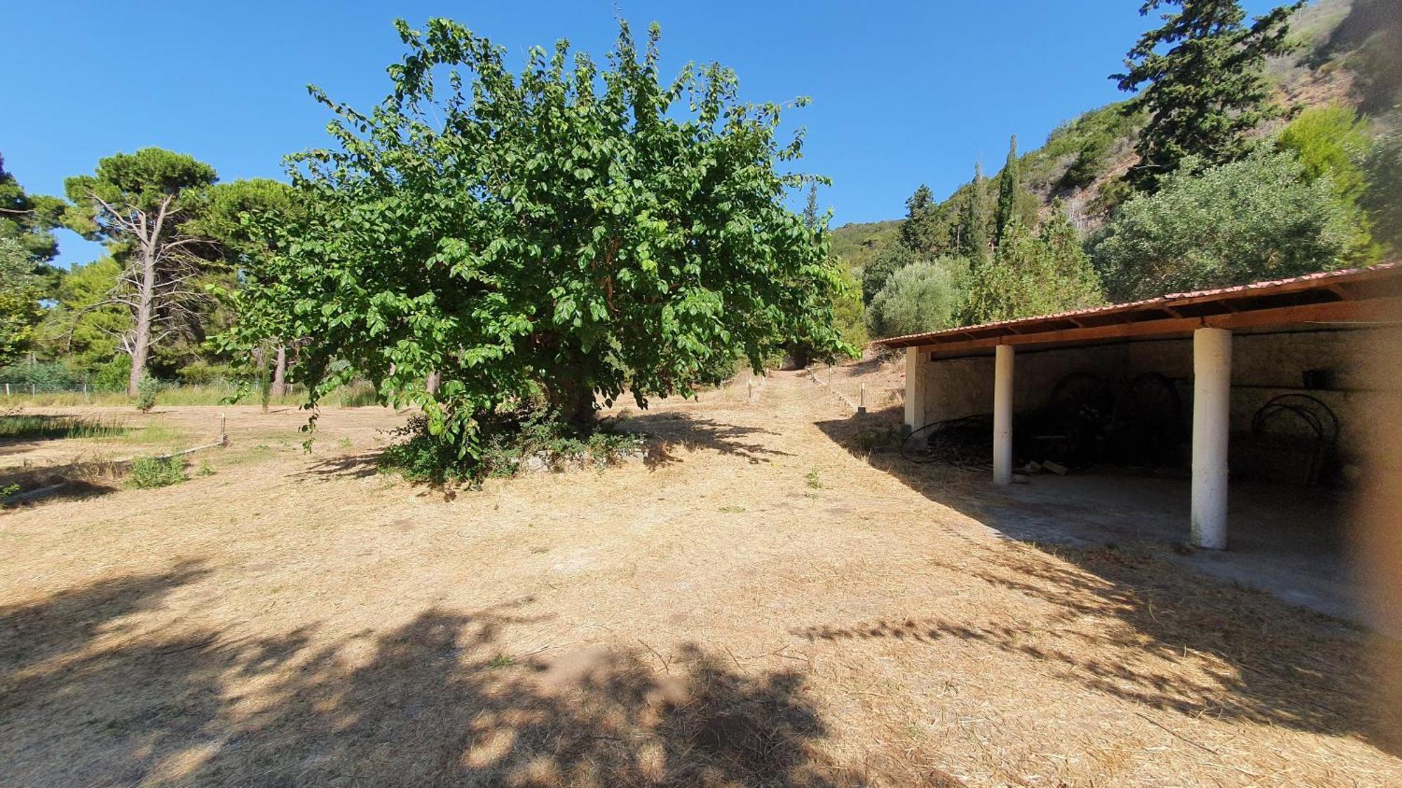 Villa Dunes 350M From The Sandy Beach Kalogria  Bagian luar foto